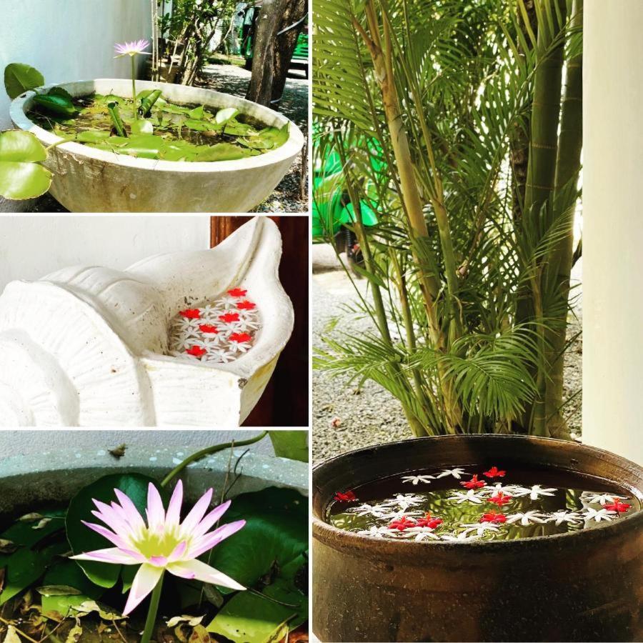 Rituale Guest House - Surf & Yoga Mirissa Εξωτερικό φωτογραφία